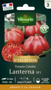 Tomate Lanterna F1 - Graines d'Exception